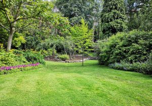 Optimiser l'expérience du jardin à Courtesoult-et-Gatey
